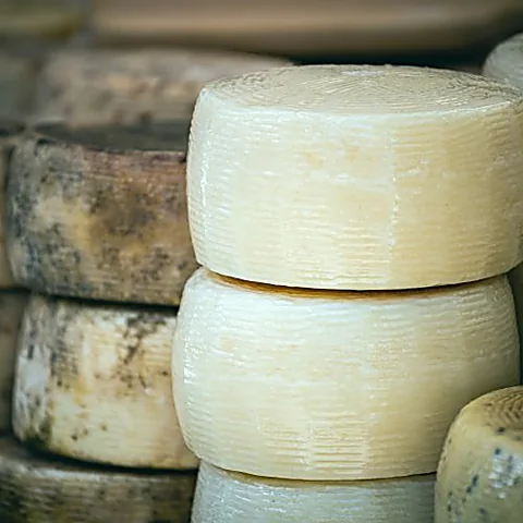 Forme di pecorino sardo stagionato